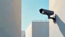 la surveillance — surveillance