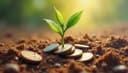 investment — Investition