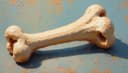 hueso — bone