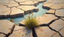la escasez de agua — water scarcity