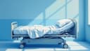 le lit d'hôpital — hospital bed