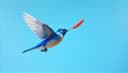 fly - flew - flown — летать