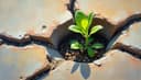 Time heals all wounds — Die Zeit heilt alle Wunden