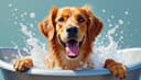 laver — to bathe