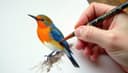 illustration — Illustration