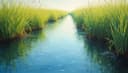el humedal — wetland