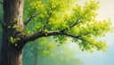 branch — Branch