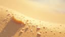 sand — Sand