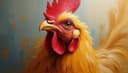 pollo — chicken