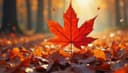 otoño — autumn/fall