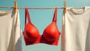 la brassière [QC] / le soutien-gorge [FR] — bra