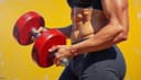 cuerpo — body