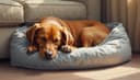 le panier — pet bed