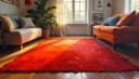 le tapis — carpet/rug