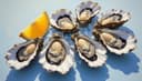 l'huître — oyster