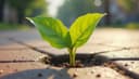 la transition écologique — ecological transition