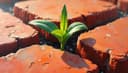 la sostenibilidad — sustainability