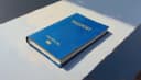 control de pasaportes — passport control