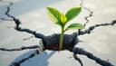 sustainability — устойчивое развитие
