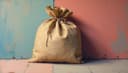 bolsa — bag