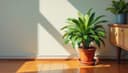 planta — plant / floor [NOT plant only]