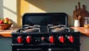 estufa - cocina / fogón — stove [MX - ES]