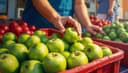 la consommation — consumption