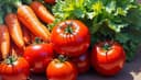 vegetable — Gemüse