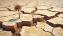 water scarcity — Wasserknappheit