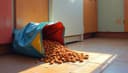 el alimento para mascotas — pet food