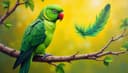 la pluma — feather