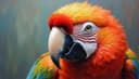 loro — parrot