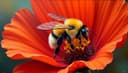abeja — bee