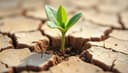la resiliencia — resilience