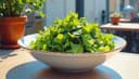 salad — Salat