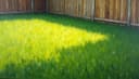 The grass is always greener on the other side — Die Kirschen in Nachbars Garten sind immer süßer