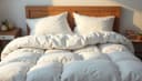 cama — кровать
