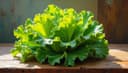 lechuga — листовой салат