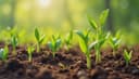 increase - grow — steigen - wachsen