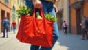 bolsa — bag