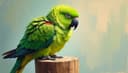 la mascota exótica — exotic pet