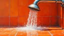 il y a un problème avec la douche — there's a problem with the shower