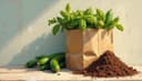 biodegradable — biodegradable