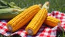 corn — кукуруза