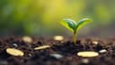 seed round — Seed-Runde; Frühphasenfinanzierung