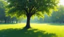 hace buen tiempo — the weather is nice