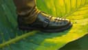 l'empreinte carbone — carbon footprint