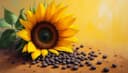 la graine — seed [not grain]