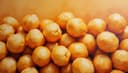 garbanzo — chickpea