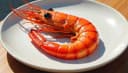 shrimp — Garnele